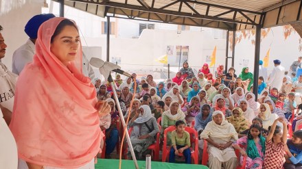 Lok Sabha Elections 2024 Phase 7 richest candidate is Harsimrat Kaur Badal Lok Sabha Elections 2024 Phase 7 richest candidate is Harsimrat Kaur Badal