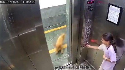 The incident occurred at the Lotus 300 society in Sector 107 on May 3 The incident occurred at the Lotus 300 society in Sector 107 on May 3