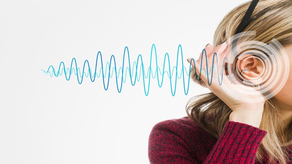 Numerous studies have established a link between long-term exposure to elevated noise levels and an increased risk of developing cardiovascular diseases.