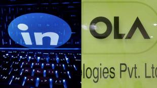 ola, linkedin, opinion