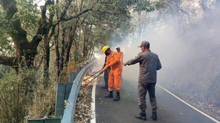 ‘No forest officials for election duty’: Supreme Court pulls up Uttarakhand govt over forest fires
