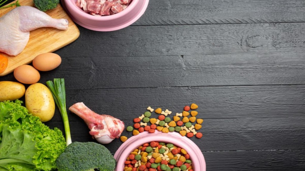 animal protein, plant protein, proteins, health