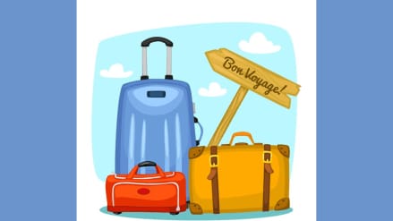 Experts say that the online segment has democratised price points with luggage brands available at affordable price points and a number of direct-to-consumer players