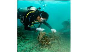 The Kachrewaale Journey