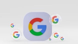 Google AI-Search: True or False