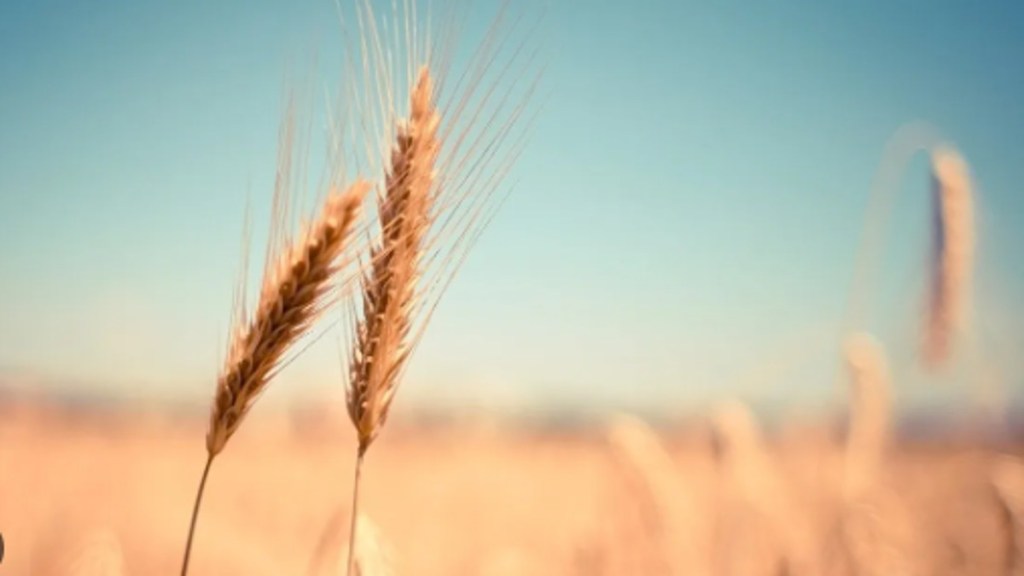 Adequate stocks, stable retail prices, say officials.