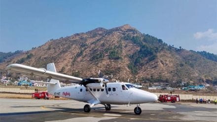 flybiG ani flybiG ani