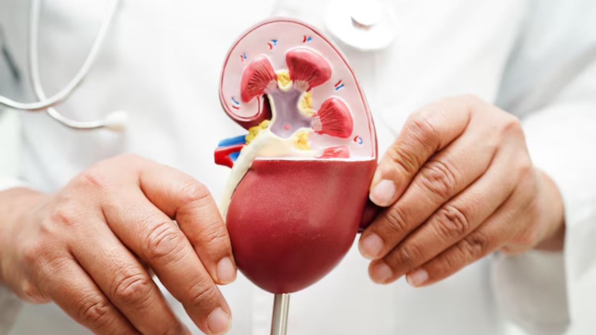 Exploring the innovations and trends in kidney care - Healthcare News ...