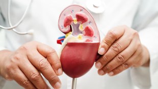 kidney care
