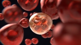 Metformin, Metformin impact, anti diabetic medicines, cancer, diabetes, blood cancer, healthcare news, pharma news,