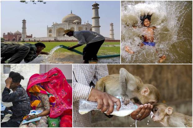 The scorching summer temperature sweeping across India this year is making life difficult for the people. An average of 40 degrees Celsius has been recorded.While some eastern cities have been spared, many parts of India are experiencing severe heatwaves, prompting individuals to avoid going out during the hottest hours of the day.The harshness of heatwaves is increasing every year, raising worries about a looming climate crisis. In a recent report by the World Economic Forum, the global implications of heatwaves and climate change were also highlighted. The report predicted 14.5 million deaths and USD 12.5 trillion in economic losses due to the climate crisis.To mitigate the effects of this harsh weather, many states and municipal bodies in the country have issued guidelines advising people to stay indoors during the hottest part of the day and remain hydrated.Here are some pictures. Have a look: