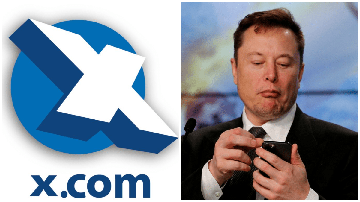 X Elon musk X Elon musk