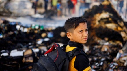 Israel hamas, gaza ceasefire, ceasefire, hamas news, gaza news, Israel war, gaza war, hamas war, rafah attack, gaza rafah, palestine, palestine war, palestine news