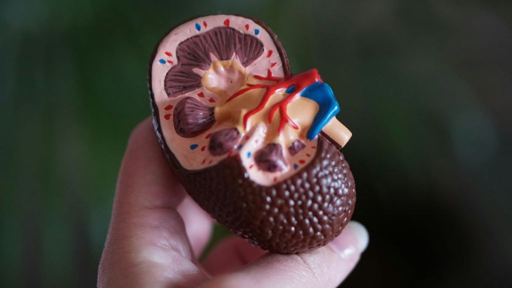 World Hypertension Day 2024 Theme