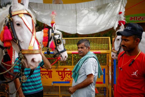 People stand near horses outside the Bharatiya Janata Party (BJP) headquarters, on the day of the general election results, in New Delhi, India, June 4, 2024. REUTERS