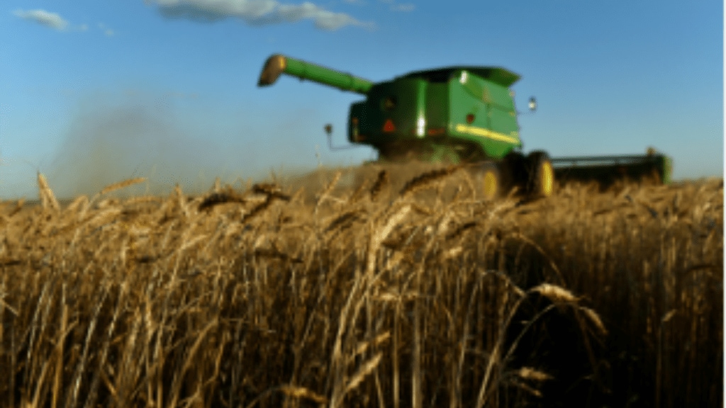 In 2023, India spent over $2.7 billion on imports, mostly on timber that should have been grown in India (Reuters)