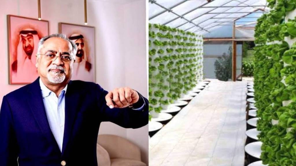 From Rejection to Victory: How David & Goliath Farms secured €50 million funding with carbon credits futures