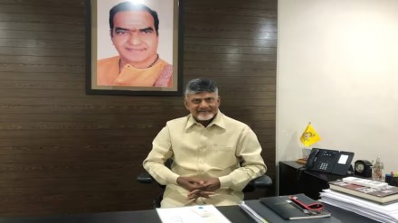 Chandrababu Naidu stocks