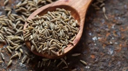 Cumin, Cumin news, Cumin price, commodities, commodities news Cumin, Cumin news, Cumin price, commodities, commodities news