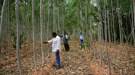 World Environment Day, ITC Ltd, sustainability, climate change