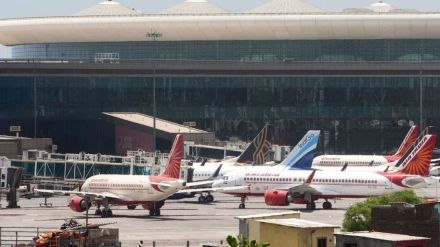 About forty flamingos perished in Mumbai earlier this month