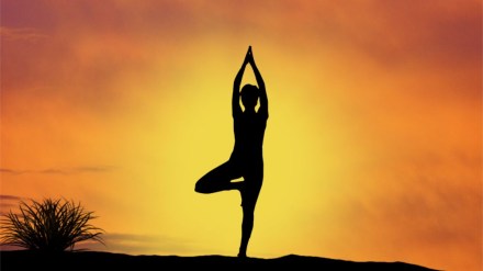 Why we celebrate International Yoga Day 2024 Why we celebrate International Yoga Day 2024