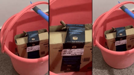 The couple captured the entire incident on camera and said that they also have eyewitnesses of the incident (Photo: X/Tanvxo)