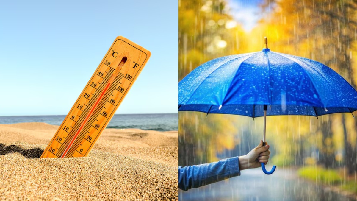 Delhi has had unpredictable monsoon patterns (Photo: Freepik)