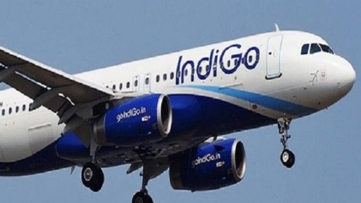 indigo,