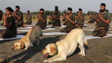 India Army soldiers and the dog squad perform yoga at the Line of Control (LOC) on the eve of the International Day of Yoga, in Jammu district. (PTI)