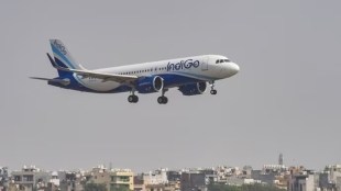 Indigo, Indigo wide-body aircraft, Indigo fleet expansion,