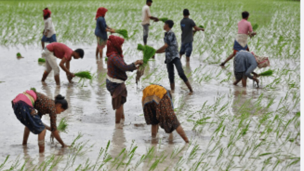Monsoon