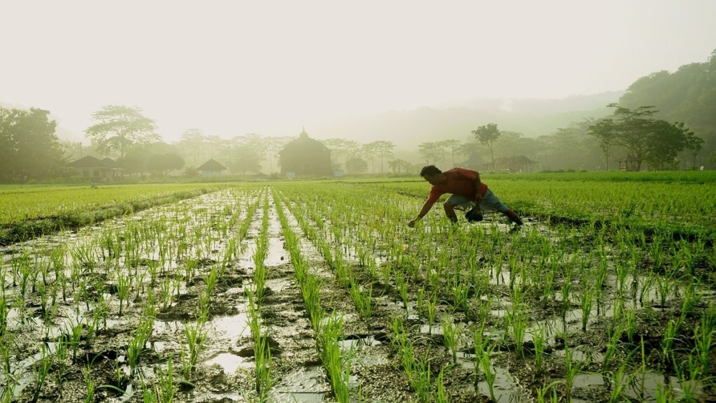 agriculture