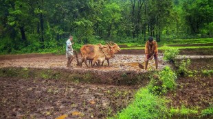 Farmers in India