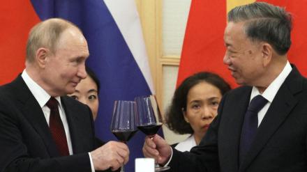 putin, vladimir putin, bamboo diplomacy, putin vietnam visit