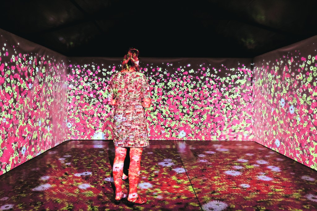 Walking through a Songline