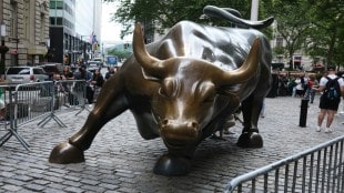 stocks market on elections result 2024