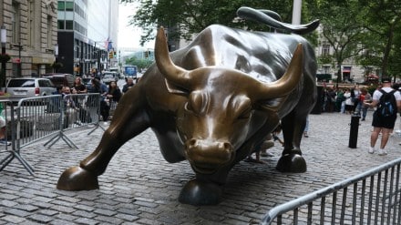 stocks market on elections result 2024