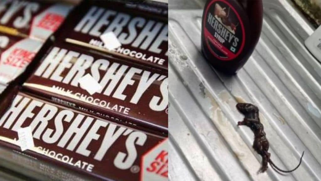 Hershey's, Hershey's dead mouse, Hershey's chocolate syrup, chocolate syrup, Hershey's food, Hershey's news, Hershey's chocolate syrup news, viral Hershey's video