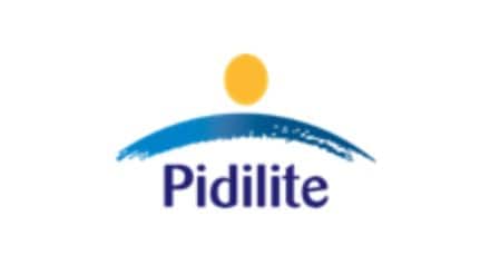 Pidilite Industries, CollTech Group, distribution agreement, manufacturing, sale, market presence, price hike