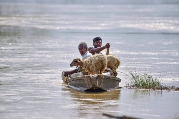 Over 39,000 displaced individuals are taking shelter in 193 relief camps, and an additional 82 relief distribution centres are operational. (PTI Photo)