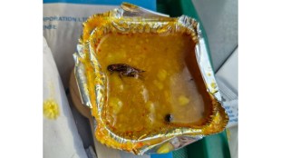 Cockroach Vande Bharat Express, Vande Bharat, Cockroach, Indian railways, irctc