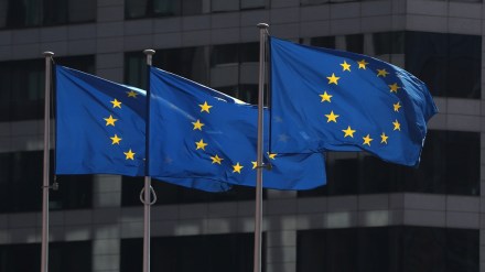 EU 2024 elections are based on 'immigration and identity'.
