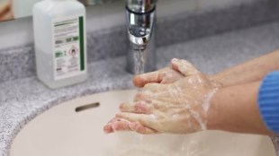 fmcg, fmcg firms, industry, industry news, financial express