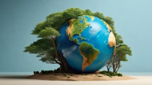 Paradox of Protection and Peril: UV Radiation, Depletion of Ozone and Geoengineering