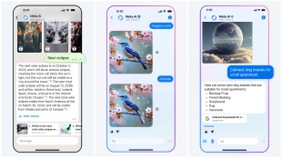 Meta AI launch India