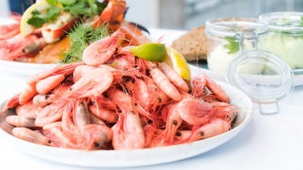 shrimp exporter, exports, shrimp procurement, procurement cost, supply chain disruptions, logistics cost, countervailing duty