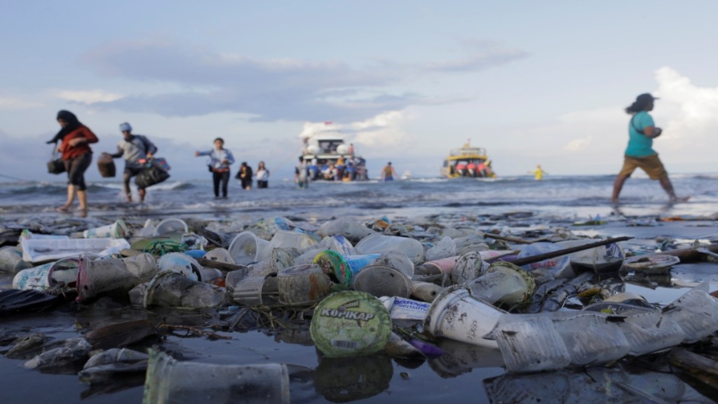 Plastic Waste