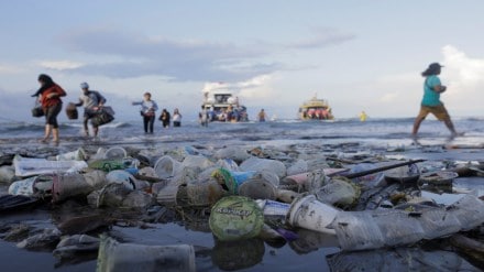 Plastic Waste