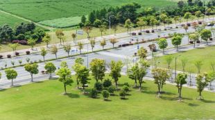 YEIDA's residential plot scheme to boost Yamuna Expressway's potential